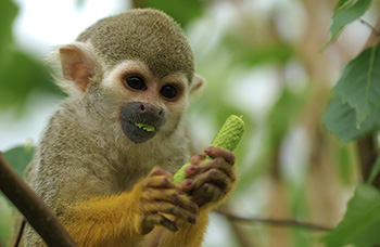 Special Private Tour - The journey of your life 2